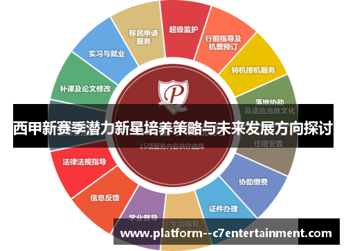 西甲新赛季潜力新星培养策略与未来发展方向探讨