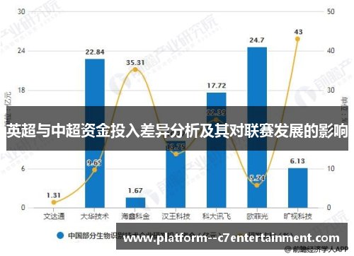 英超与中超资金投入差异分析及其对联赛发展的影响